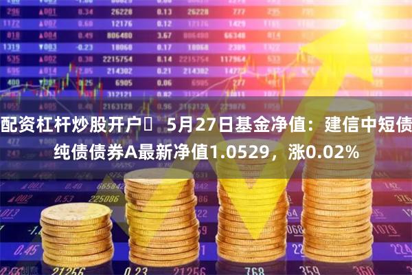 配资杠杆炒股开户	 5月27日基金净值：建信中短债纯债债券A最新净值1.0529，涨0.02%