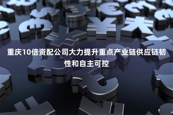 重庆10倍资配公司大力提升重点产业链供应链韧性和自主可控