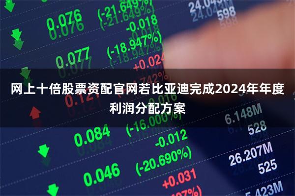 网上十倍股票资配官网若比亚迪完成2024年年度利润分配方案