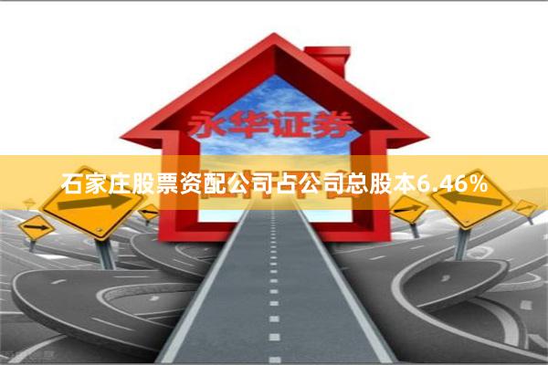 石家庄股票资配公司占公司总股本6.46%