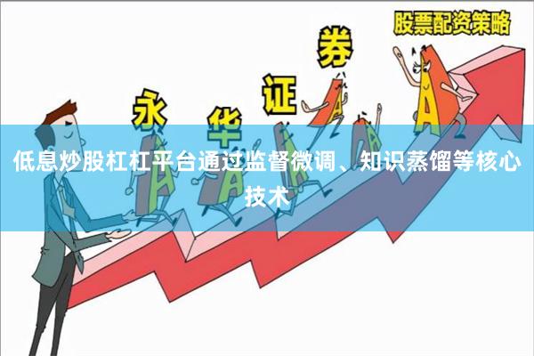 低息炒股杠杠平台通过监督微调、知识蒸馏等核心技术